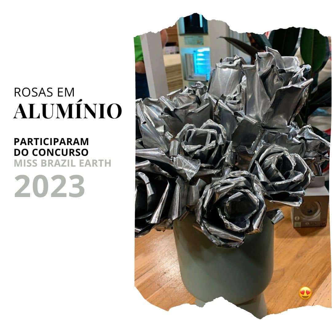 rosas em alumínio rosas em metal concurso miss brazil earth 2023